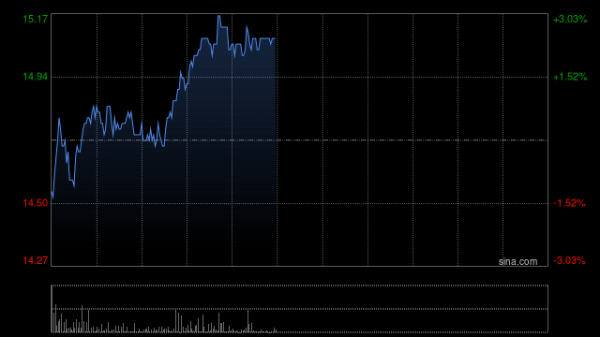 找期货配资 中升控股完成发行首批熊猫债券